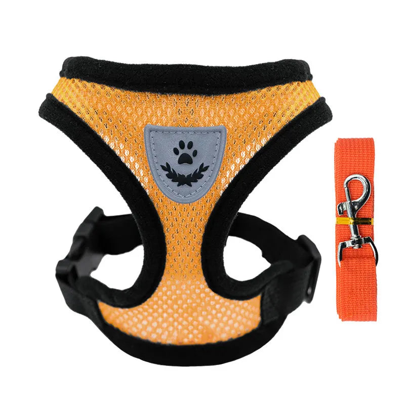 Peitoral com Guia para Gatos e Cães Pequenos – Conjunto Ajustável em Malha Respirável com Fecho Seguro e Refletivo