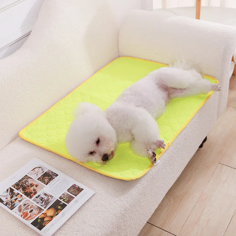 Tapete Higiênico Lavável Antiderrapante para Cães – Reutilizável, Confortável e Ideal para Casa ou Carro