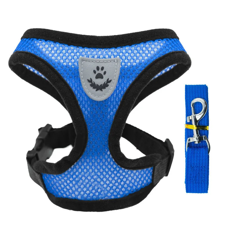 Peitoral com Guia para Gatos e Cães Pequenos – Conjunto Ajustável em Malha Respirável com Fecho Seguro e Refletivo