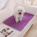 Tapete Higiênico Lavável Antiderrapante para Cães – Reutilizável, Confortável e Ideal para Casa ou Carro