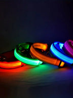 Coleira LED Refletiva para Cachorros – Segurança Noturna com Estilo e Conforto