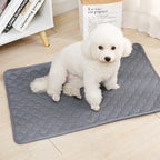 Tapete Higiênico Lavável Antiderrapante para Cães – Reutilizável, Confortável e Ideal para Casa ou Carro