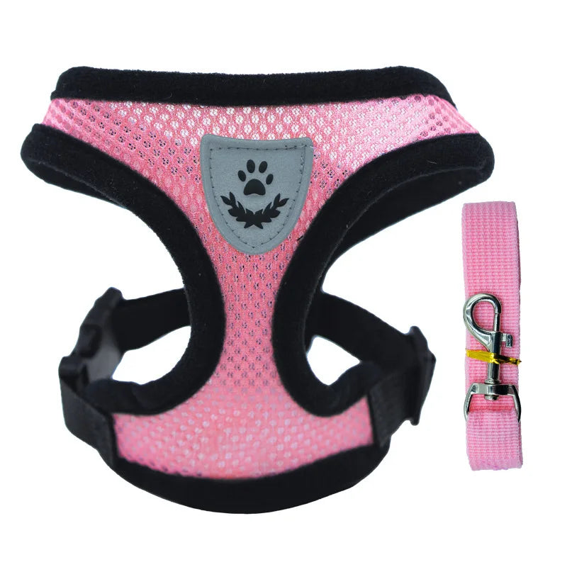 Peitoral com Guia para Gatos e Cães Pequenos – Conjunto Ajustável em Malha Respirável com Fecho Seguro e Refletivo