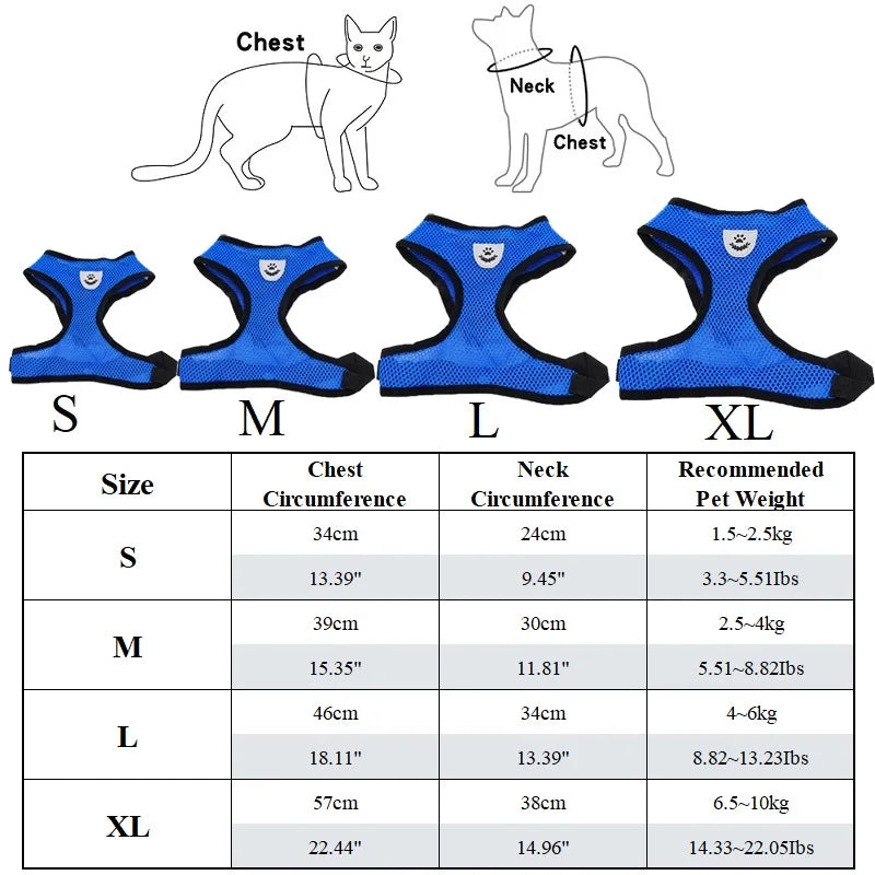 Peitoral com Guia para Gatos e Cães Pequenos – Conjunto Ajustável em Malha Respirável com Fecho Seguro e Refletivo