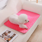 Tapete Higiênico Lavável Antiderrapante para Cães – Reutilizável, Confortável e Ideal para Casa ou Carro