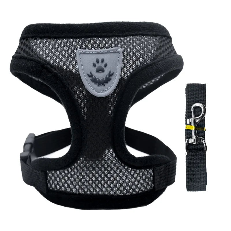 Peitoral com Guia para Gatos e Cães Pequenos – Conjunto Ajustável em Malha Respirável com Fecho Seguro e Refletivo