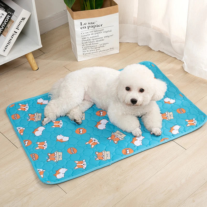 Tapete Higiênico Lavável Antiderrapante para Cães – Reutilizável, Confortável e Ideal para Casa ou Carro