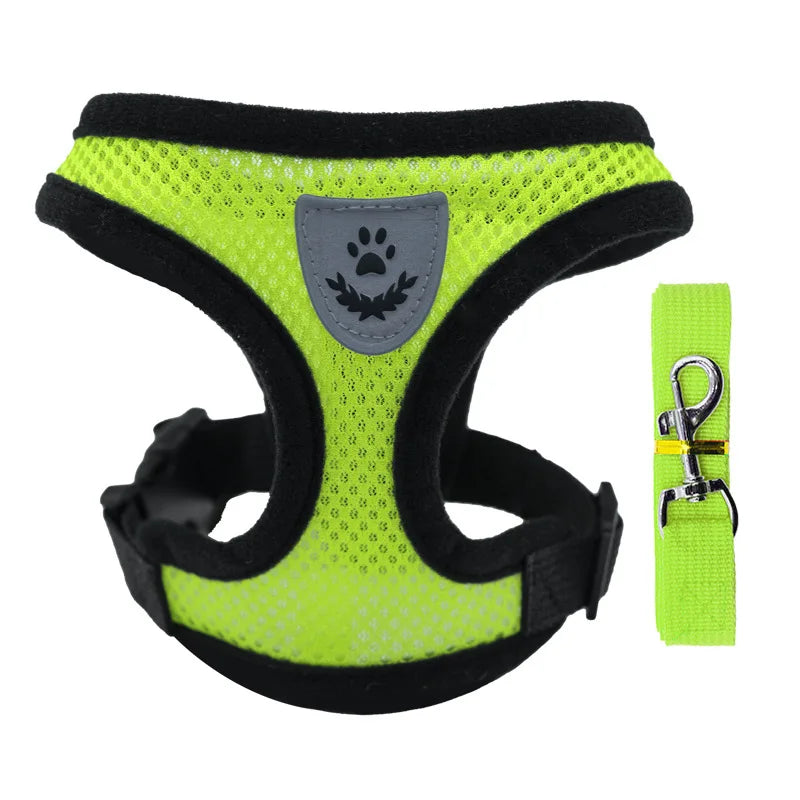 Peitoral com Guia para Gatos e Cães Pequenos – Conjunto Ajustável em Malha Respirável com Fecho Seguro e Refletivo