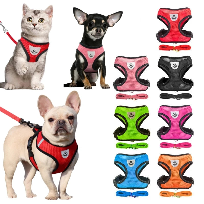 Peitoral com Guia para Gatos e Cães Pequenos – Conjunto Ajustável em Malha Respirável com Fecho Seguro e Refletivo