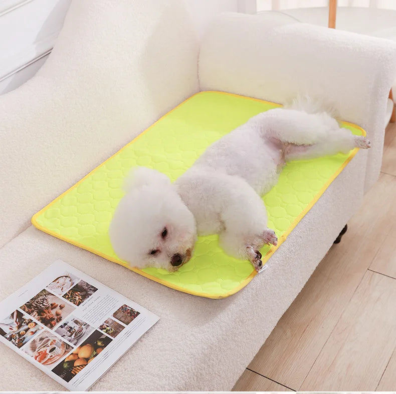 Tapete Higiênico Lavável Antiderrapante para Cães – Reutilizável, Confortável e Ideal para Casa ou Carro