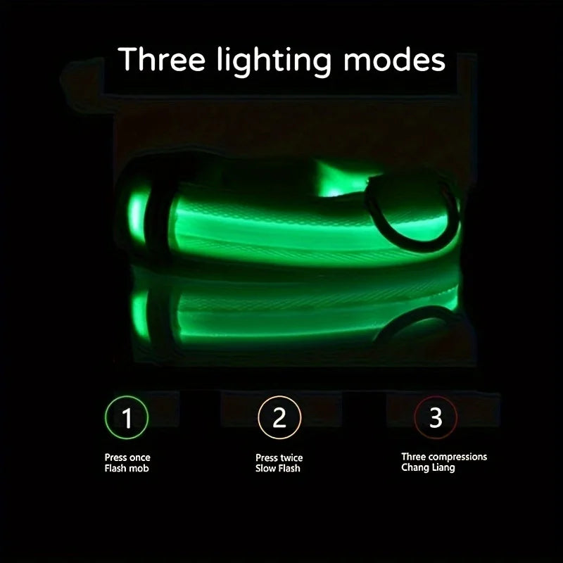 Coleira LED Refletiva para Cachorros – Segurança Noturna com Estilo e Conforto