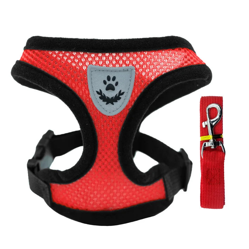 Peitoral com Guia para Gatos e Cães Pequenos – Conjunto Ajustável em Malha Respirável com Fecho Seguro e Refletivo