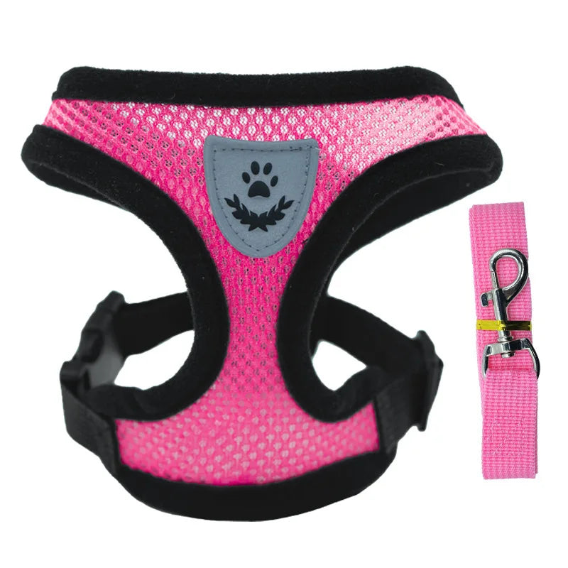 Peitoral com Guia para Gatos e Cães Pequenos – Conjunto Ajustável em Malha Respirável com Fecho Seguro e Refletivo