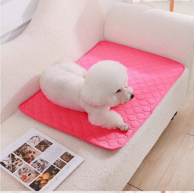 Tapete Higiênico Lavável Antiderrapante para Cães – Reutilizável, Confortável e Ideal para Casa ou Carro
