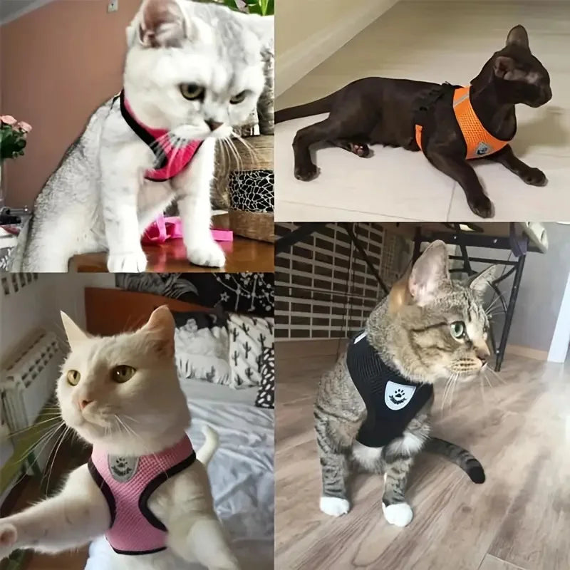 Peitoral com Guia para Gatos e Cães Pequenos – Conjunto Ajustável em Malha Respirável com Fecho Seguro e Refletivo