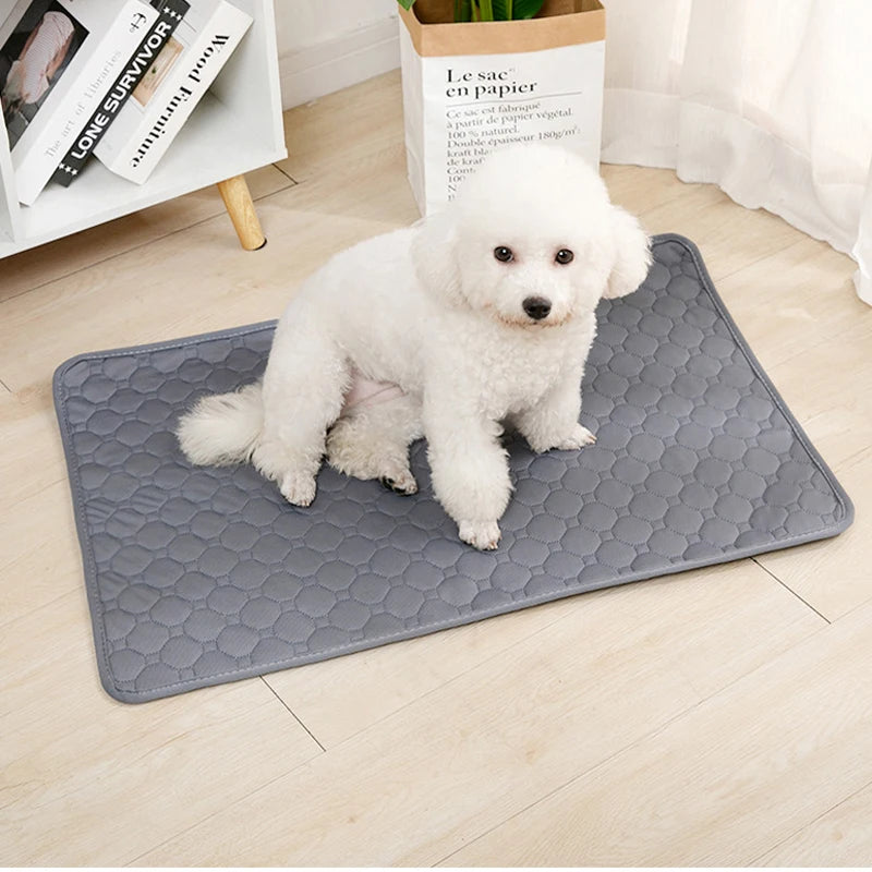 Tapete Higiênico Lavável Antiderrapante para Cães – Reutilizável, Confortável e Ideal para Casa ou Carro