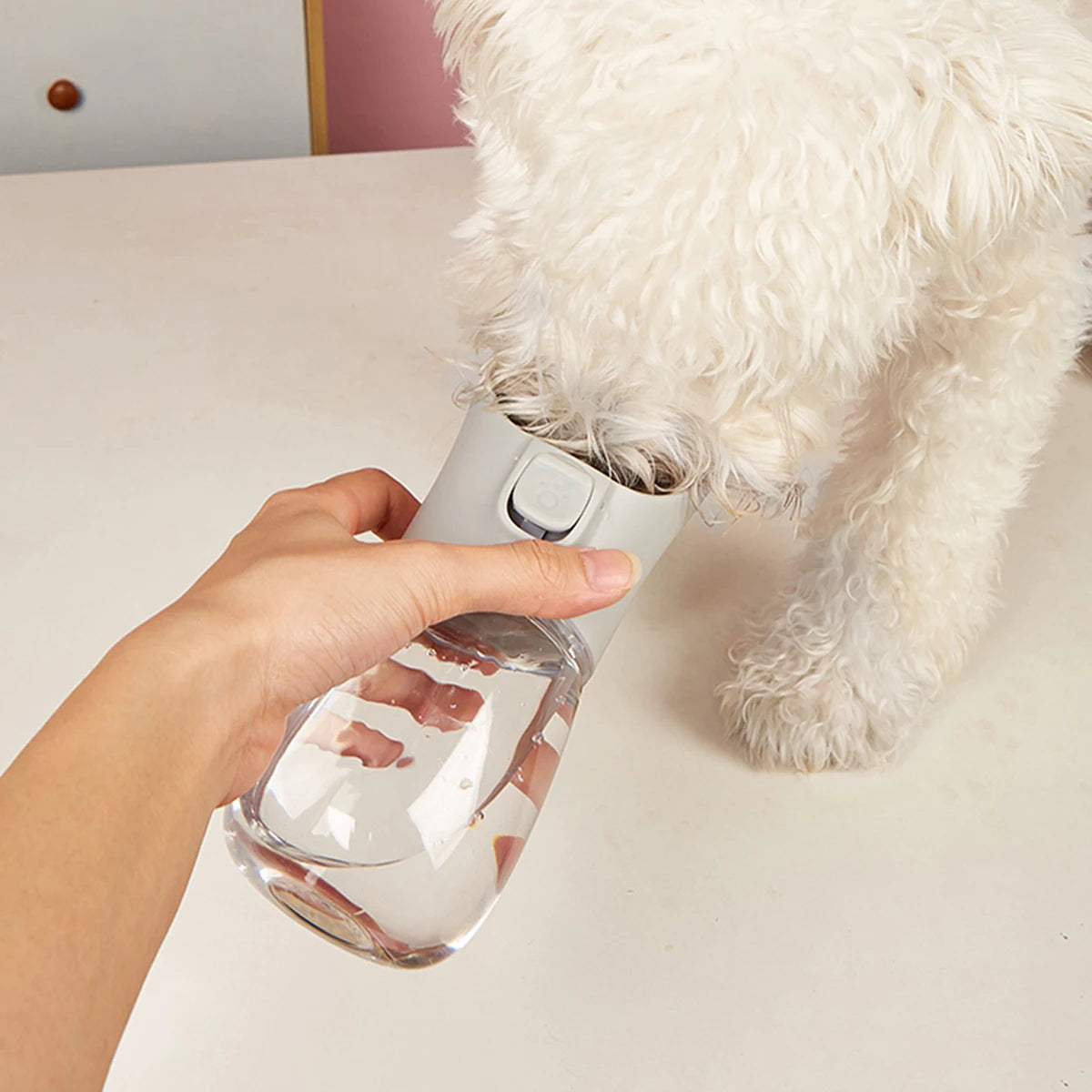 Garrafa de Água Portátil para Pets – Bebedouro Antivazamento para Passeios, Viagens e Aventuras com Seu Cão ou Gato