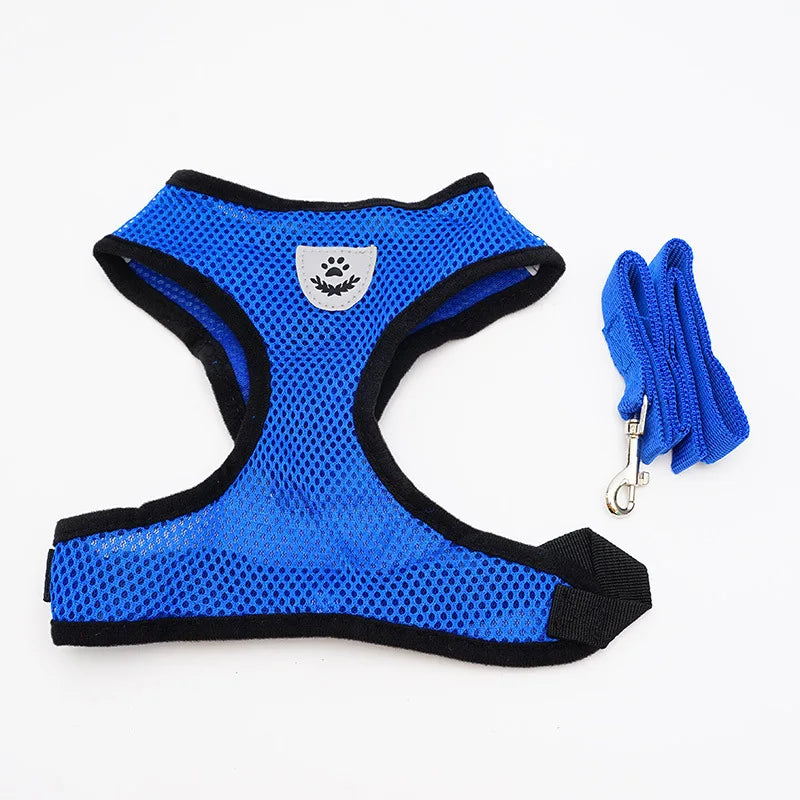 Peitoral com Guia para Gatos e Cães Pequenos – Conjunto Ajustável em Malha Respirável com Fecho Seguro e Refletivo
