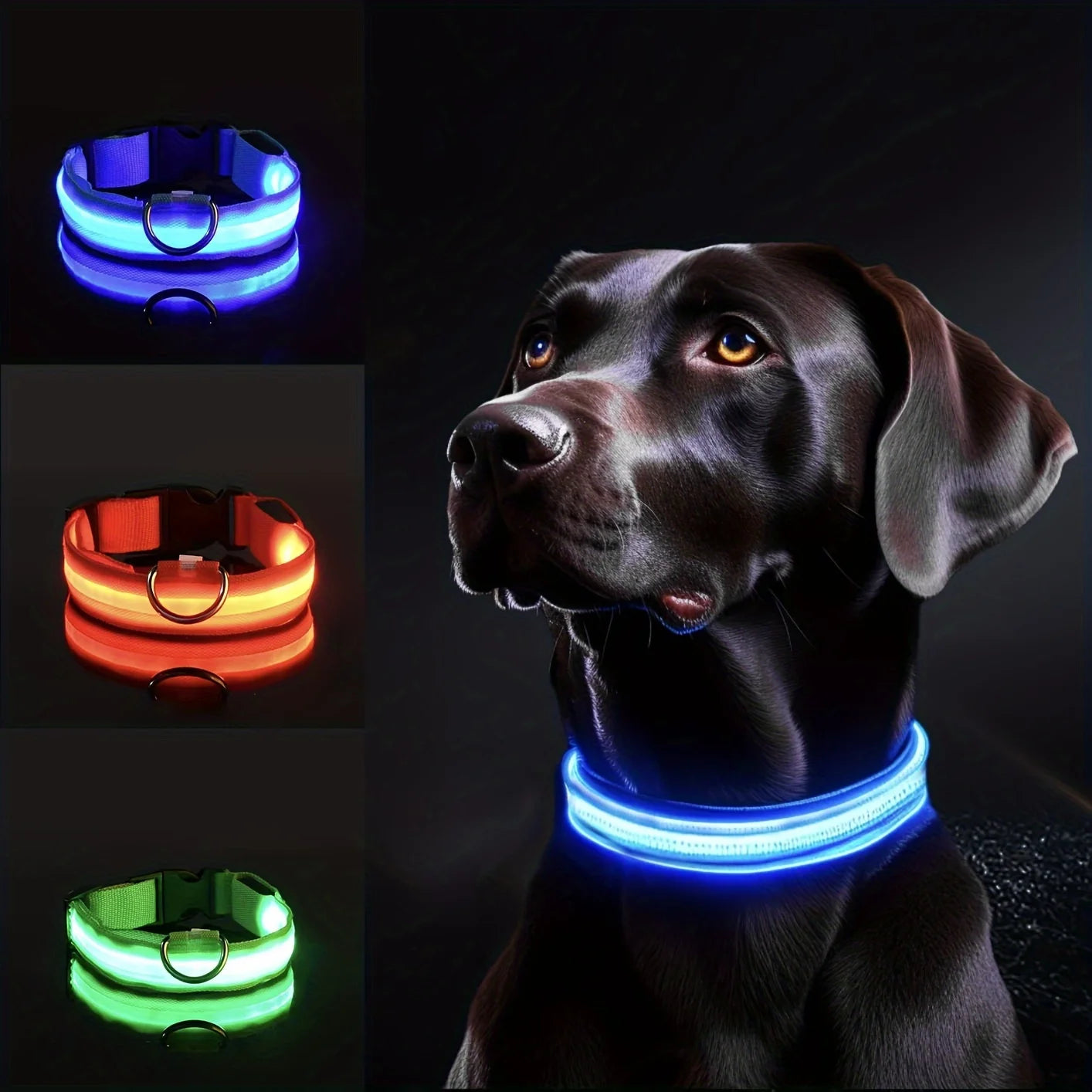 Coleira LED Refletiva para Cachorros – Segurança Noturna com Estilo e Conforto