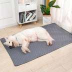 Tapete Higiênico Lavável Antiderrapante para Cães – Reutilizável, Confortável e Ideal para Casa ou Carro