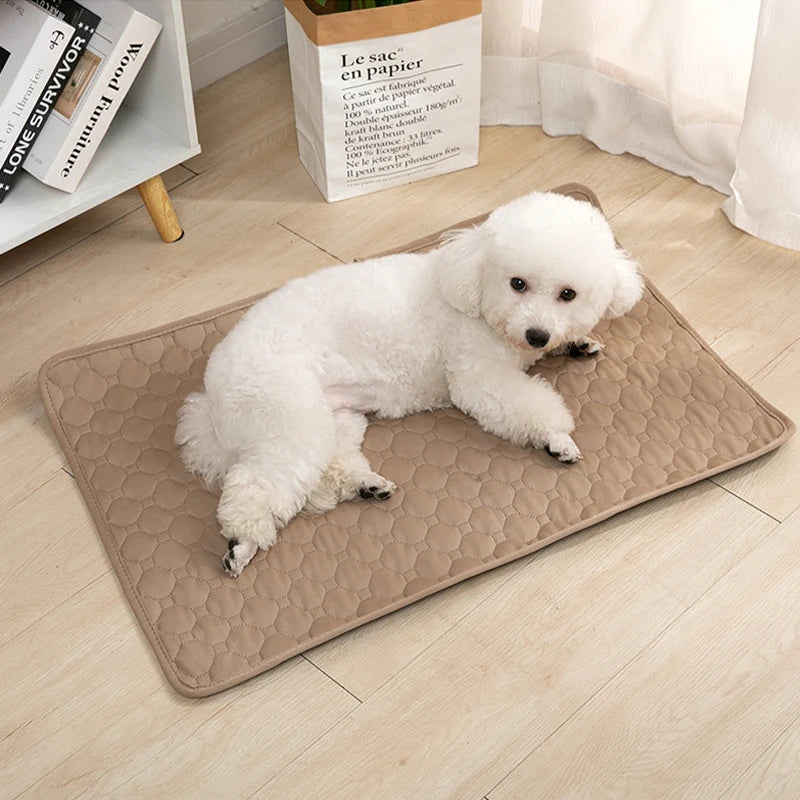 Tapete Higiênico Lavável Antiderrapante para Cães – Reutilizável, Confortável e Ideal para Casa ou Carro