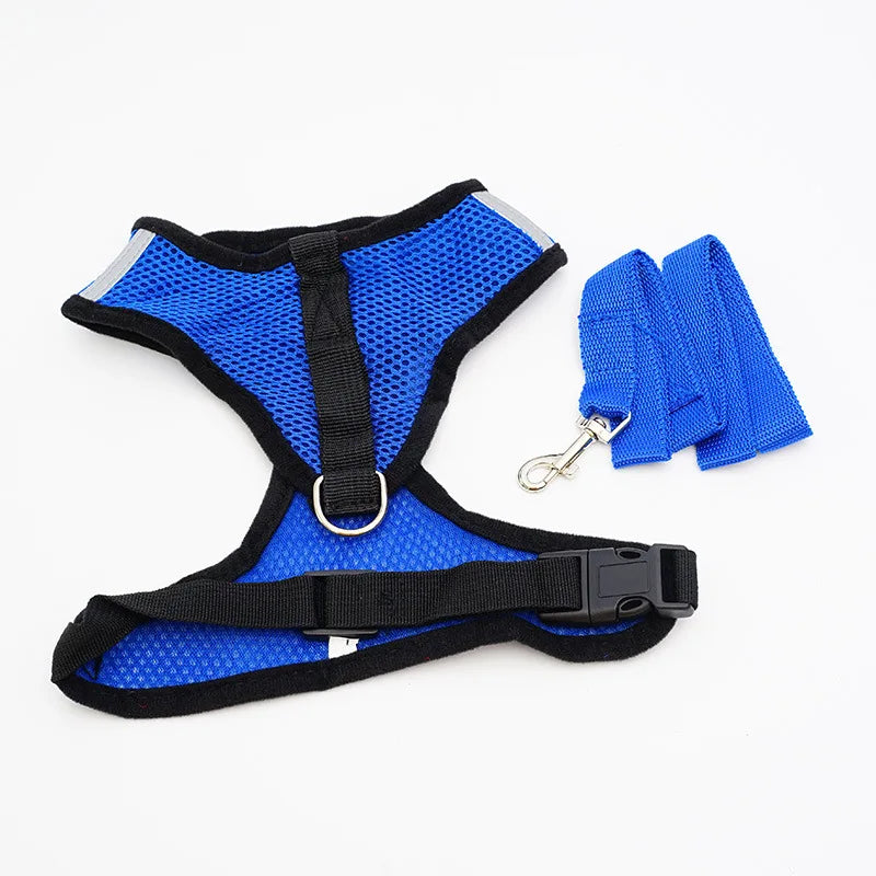 Peitoral com Guia para Gatos e Cães Pequenos – Conjunto Ajustável em Malha Respirável com Fecho Seguro e Refletivo