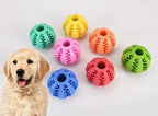Brinquedo Interativo para Cachorro – Entretenimento, Mordida Segura e Saúde Bucal