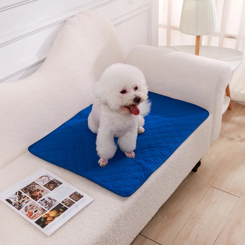 Tapete Higiênico Lavável Antiderrapante para Cães – Reutilizável, Confortável e Ideal para Casa ou Carro