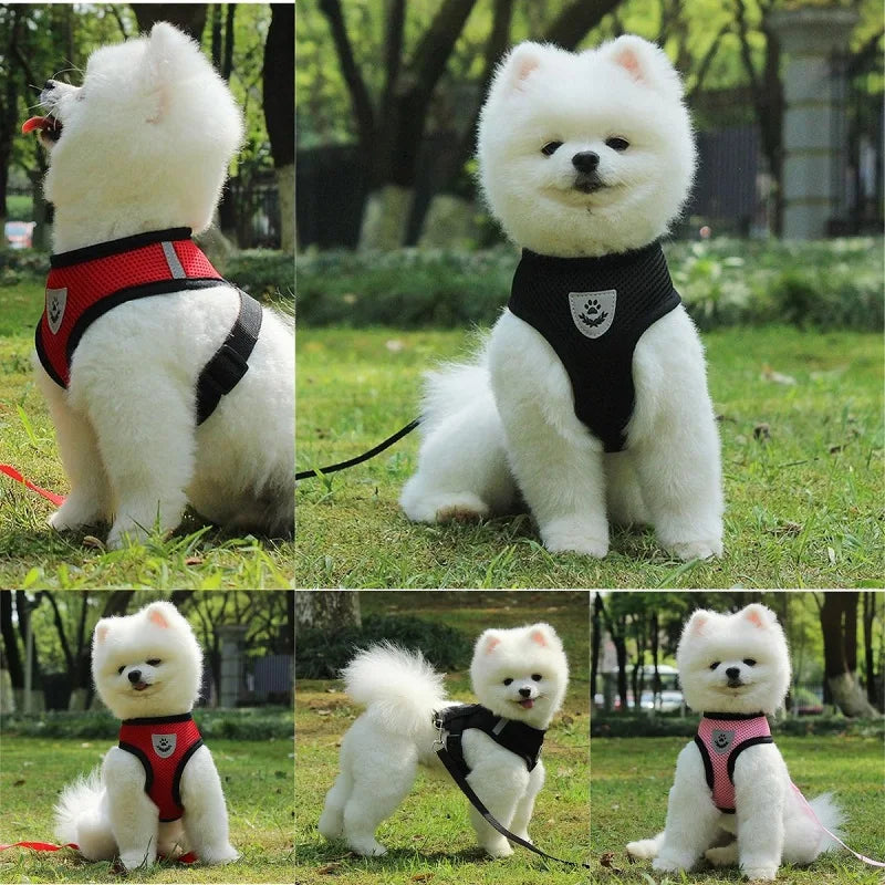 Peitoral com Guia para Gatos e Cães Pequenos – Conjunto Ajustável em Malha Respirável com Fecho Seguro e Refletivo